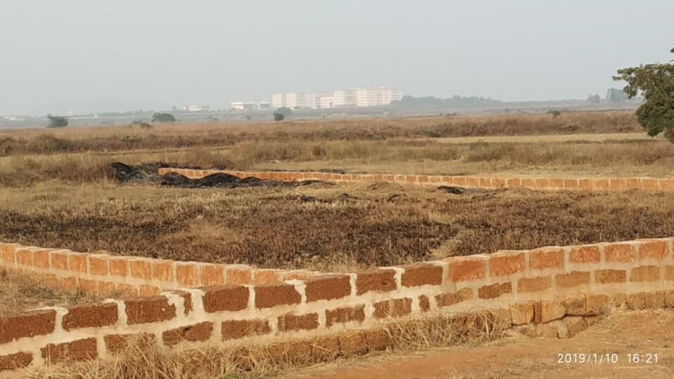 Jagannath Plots