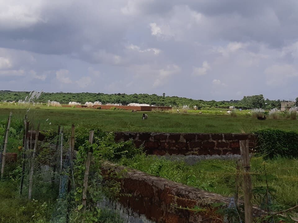 Raghunathpur Jali