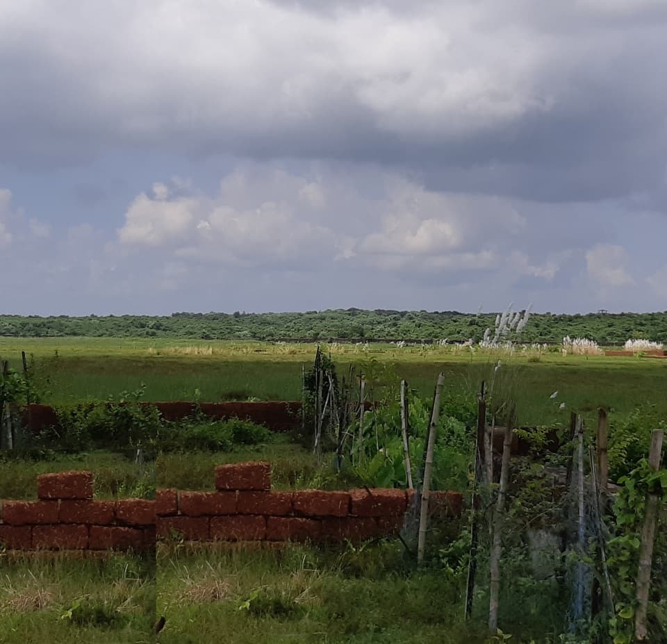 Raghunathpur Jali photo 2 - 3, 4, 5 BHK Apartment in Patia, Bhubaneswar